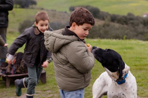 00001- Caçada Pego do Lobo fim época 2026