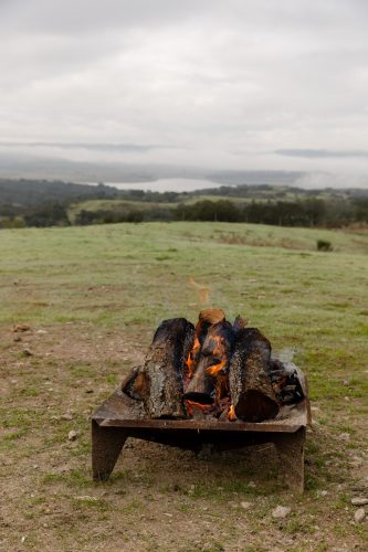 00003- Caçada Melo Pego do Lobo 2025