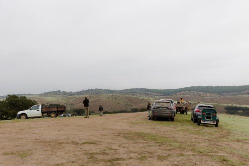 00005- Caçada Melo Pego do Lobo 2025