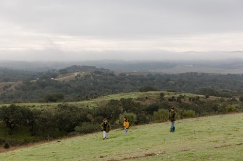 00006- Caçada Melo Pego do Lobo 2025