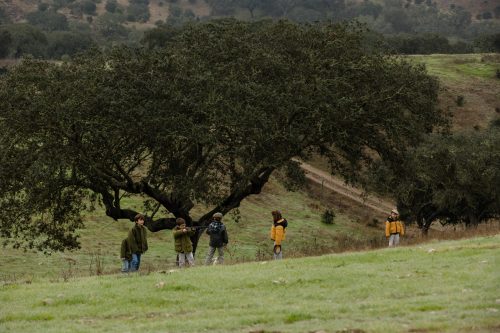 00009- Caçada Melo Pego do Lobo 2025