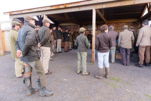 00042- Caçada Pego do Lobo fim época 2026