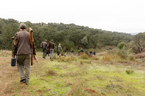 00043- Caçada Melo Pego do Lobo 2025