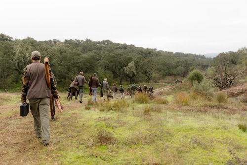 00044- Caçada Melo Pego do Lobo 2025