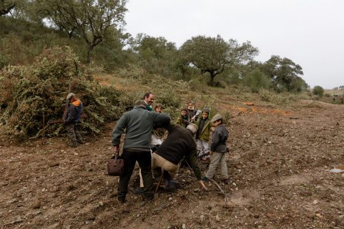 00053- Caçada Melo Pego do Lobo 2025