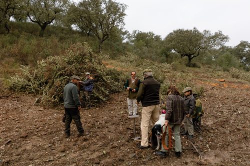 00054- Caçada Melo Pego do Lobo 2025