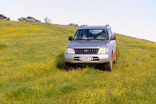 00059- Caçada Pego do Lobo fim época 2026