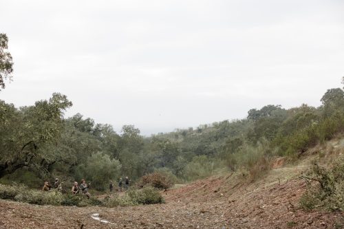 00060- Caçada Melo Pego do Lobo 2025