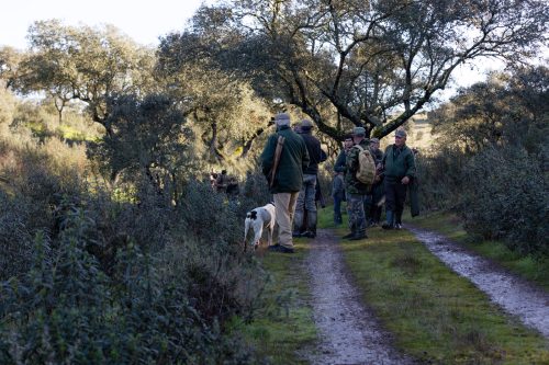 00063- Caçada Pego do Lobo fim época 2026