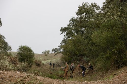 00066- Caçada Melo Pego do Lobo 2025