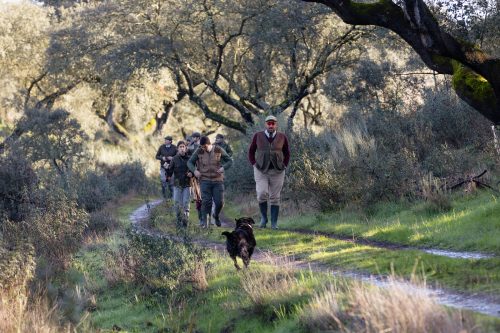 00071- Caçada Pego do Lobo fim época 2026