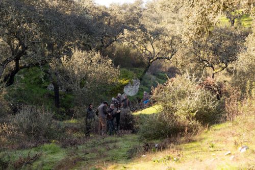 00077- Caçada Pego do Lobo fim época 2026