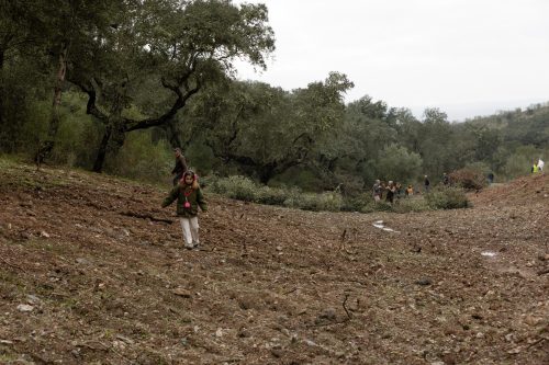 00080- Caçada Melo Pego do Lobo 2025