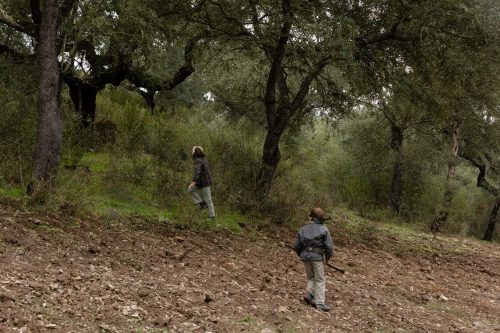 00081- Caçada Melo Pego do Lobo 2025