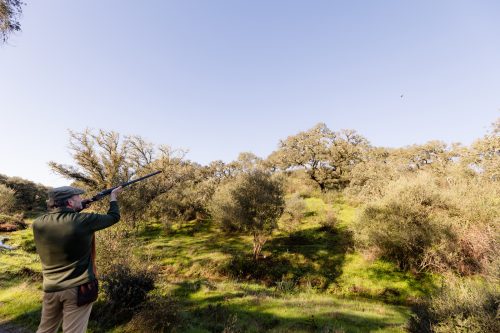 00081- Caçada Pego do Lobo fim época 2026