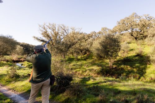 00083- Caçada Pego do Lobo fim época 2026