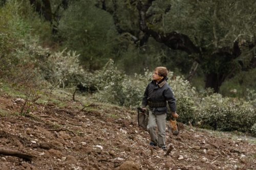 00084- Caçada Melo Pego do Lobo 2025