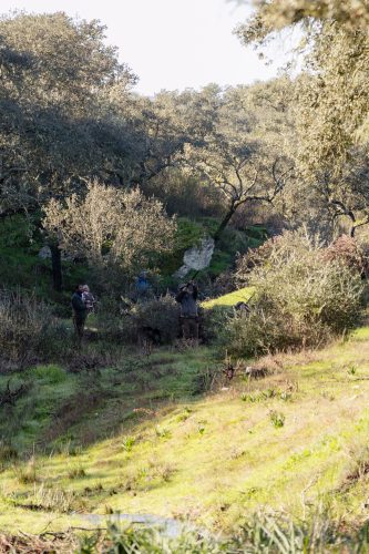 00084- Caçada Pego do Lobo fim época 2026