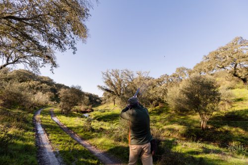 00086- Caçada Pego do Lobo fim época 2026