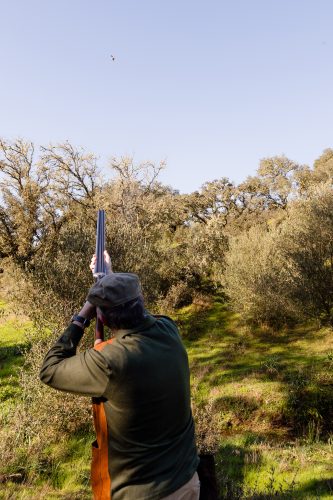 00087- Caçada Pego do Lobo fim época 2026