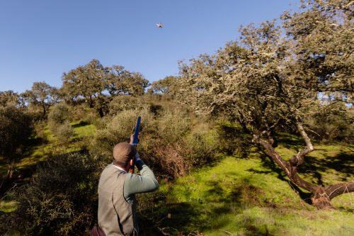 00090- Caçada Pego do Lobo fim época 2026
