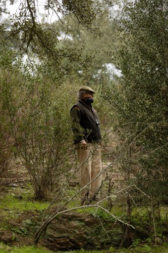 00091- Caçada Melo Pego do Lobo 2025