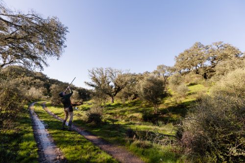 00092- Caçada Pego do Lobo fim época 2026
