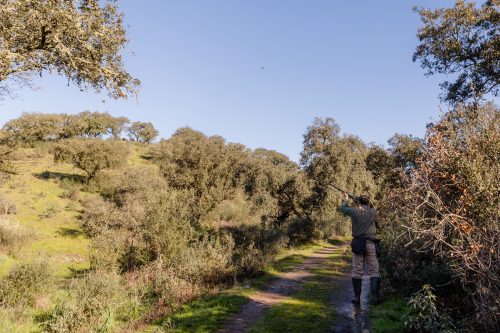 00093- Caçada Pego do Lobo fim época 2026