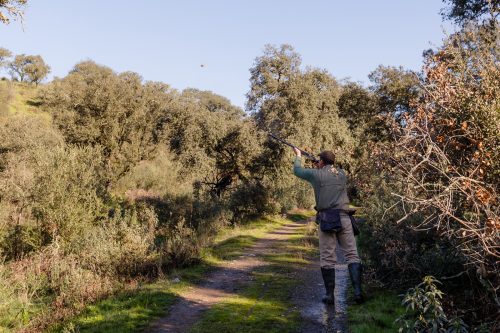 00094- Caçada Pego do Lobo fim época 2026