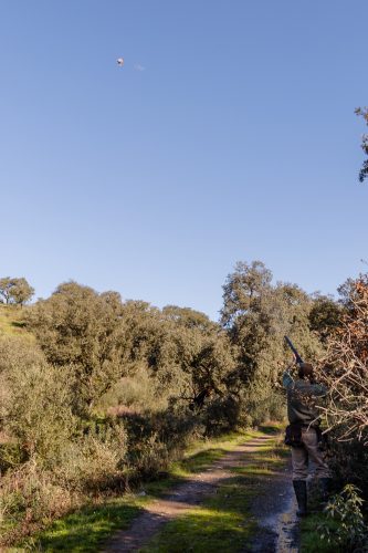 00095- Caçada Pego do Lobo fim época 2026