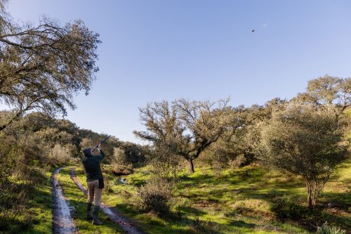 00096- Caçada Pego do Lobo fim época 2026