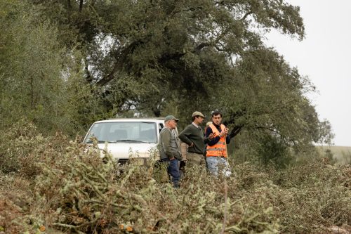 00098- Caçada Melo Pego do Lobo 2025