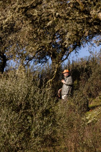 00100- Caçada Pego do Lobo fim época 2026