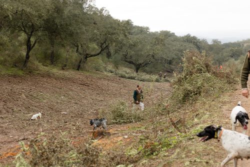 00104- Caçada Melo Pego do Lobo 2025