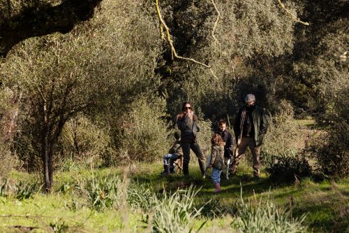 00112- Caçada Pego do Lobo fim época 2026