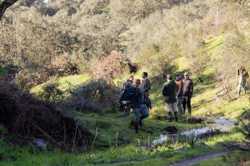 00116- Caçada Pego do Lobo fim época 2026