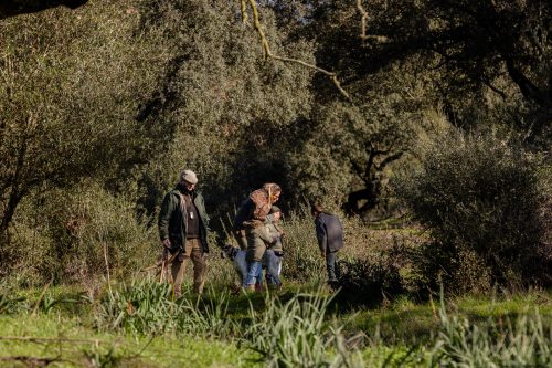 00120- Caçada Pego do Lobo fim época 2026