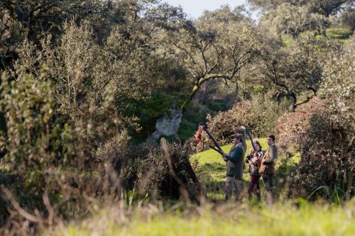 00123- Caçada Pego do Lobo fim época 2026