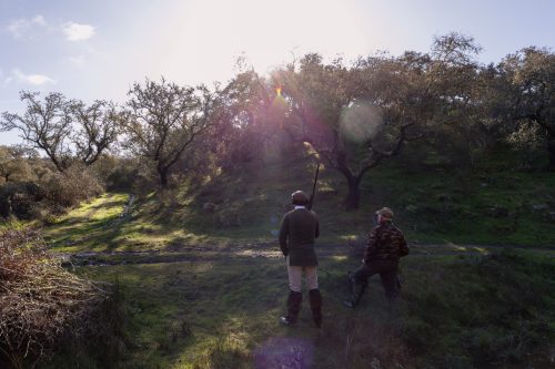 00124- Caçada Pego do Lobo fim época 2026