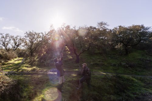 00125- Caçada Pego do Lobo fim época 2026