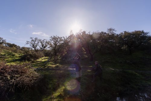 00126- Caçada Pego do Lobo fim época 2026