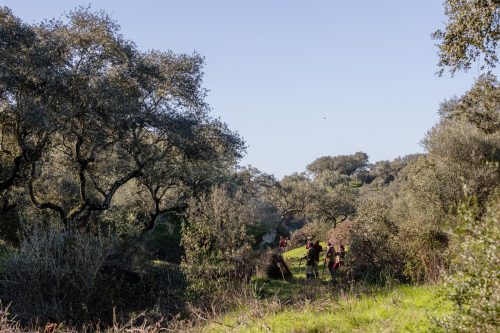 00127- Caçada Pego do Lobo fim época 2026
