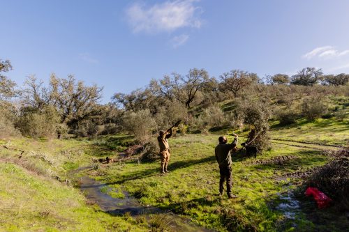 00128- Caçada Pego do Lobo fim época 2026