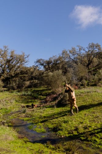 00129- Caçada Pego do Lobo fim época 2026