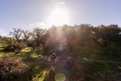 00130- Caçada Pego do Lobo fim época 2026