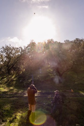 00131- Caçada Pego do Lobo fim época 2026