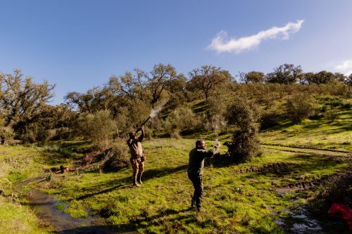 00133- Caçada Pego do Lobo fim época 2026