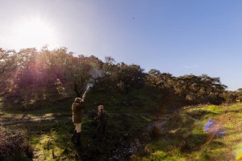 00134- Caçada Pego do Lobo fim época 2026