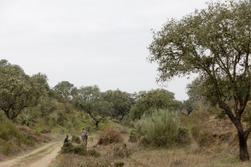 00137- Caçada Melo Pego do Lobo 2025
