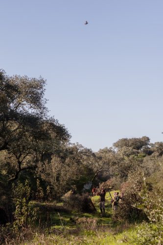 00137- Caçada Pego do Lobo fim época 2026